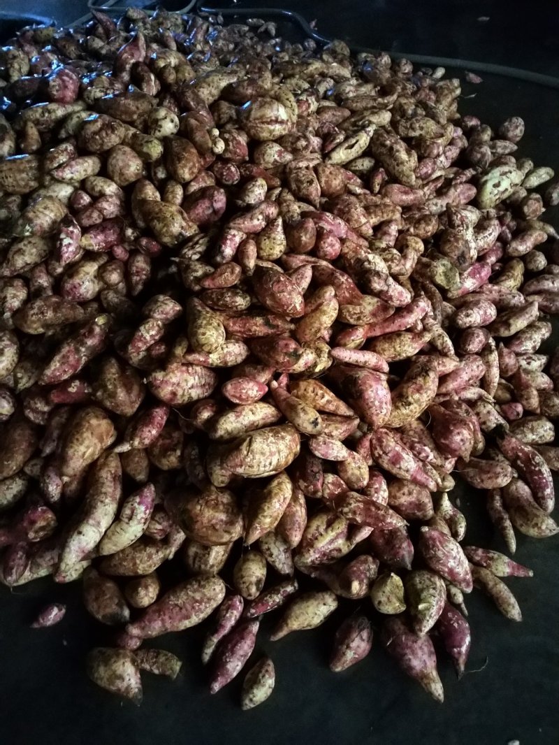 纯红薯淀粉