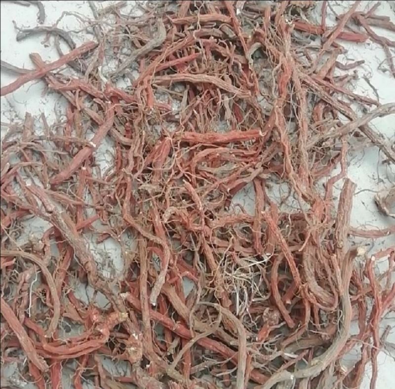 山东丹参精品(包含量)常年大量供应山东道地各种中药材