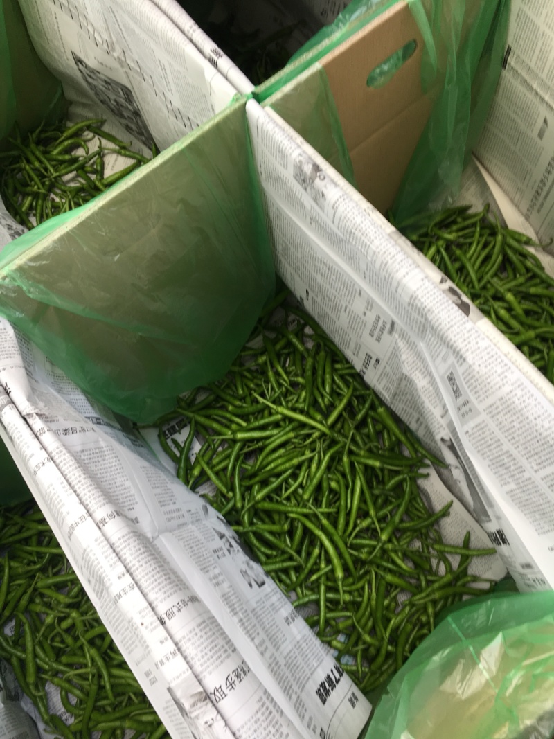 鸡爪椒，小杭椒
