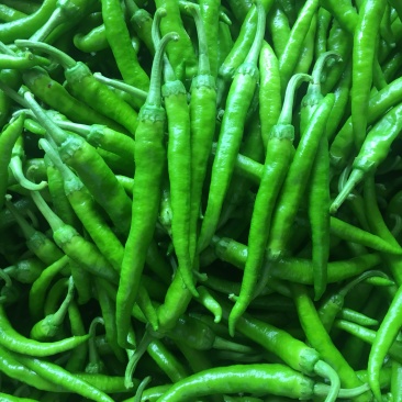 鸡爪椒，小杭椒