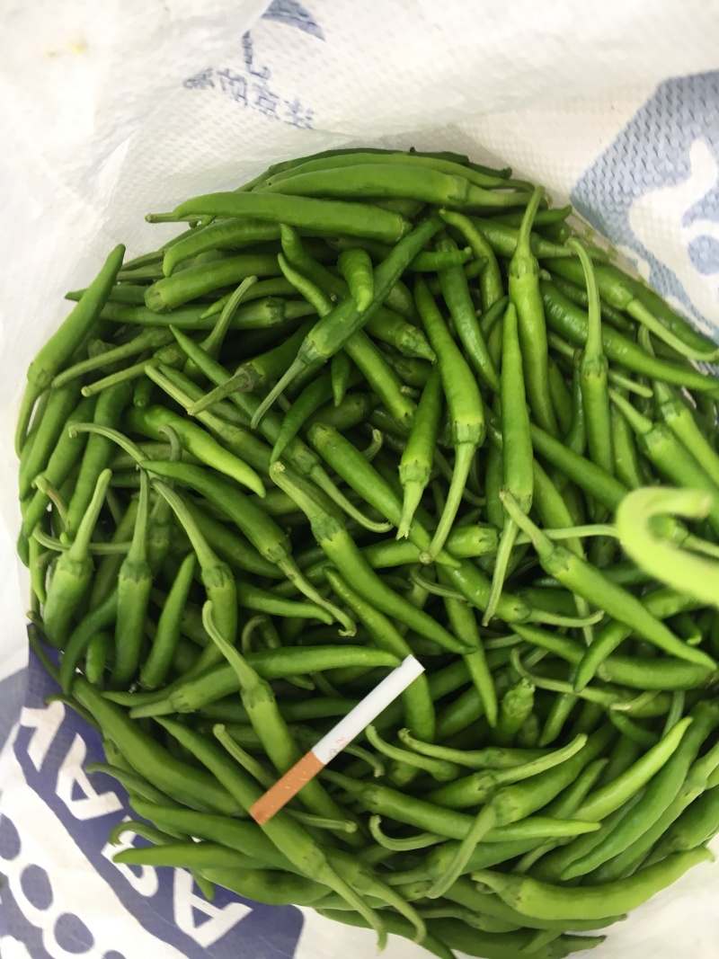 鸡爪椒，小杭椒