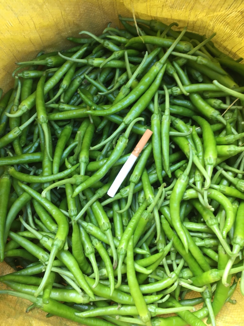 鸡爪椒，小杭椒
