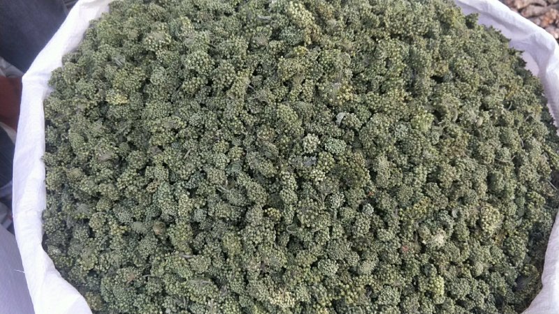 三七花云南文山三七花茶正品田七花茶正宗三七花米四年