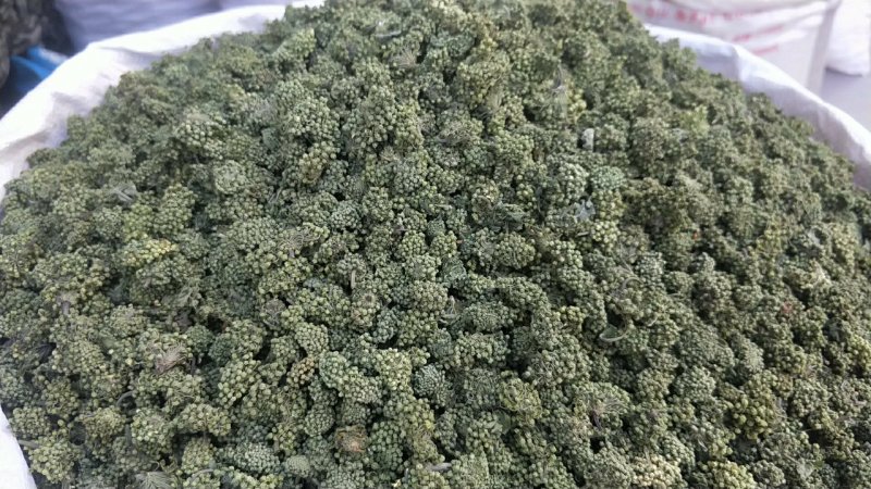 三七花云南文山三七花茶正品田七花茶正宗三七花米四年