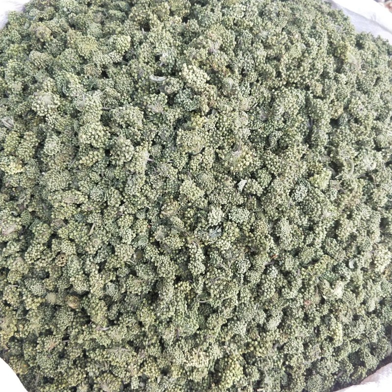 三七花云南文山三七花茶正品田七花茶正宗三七花米四年