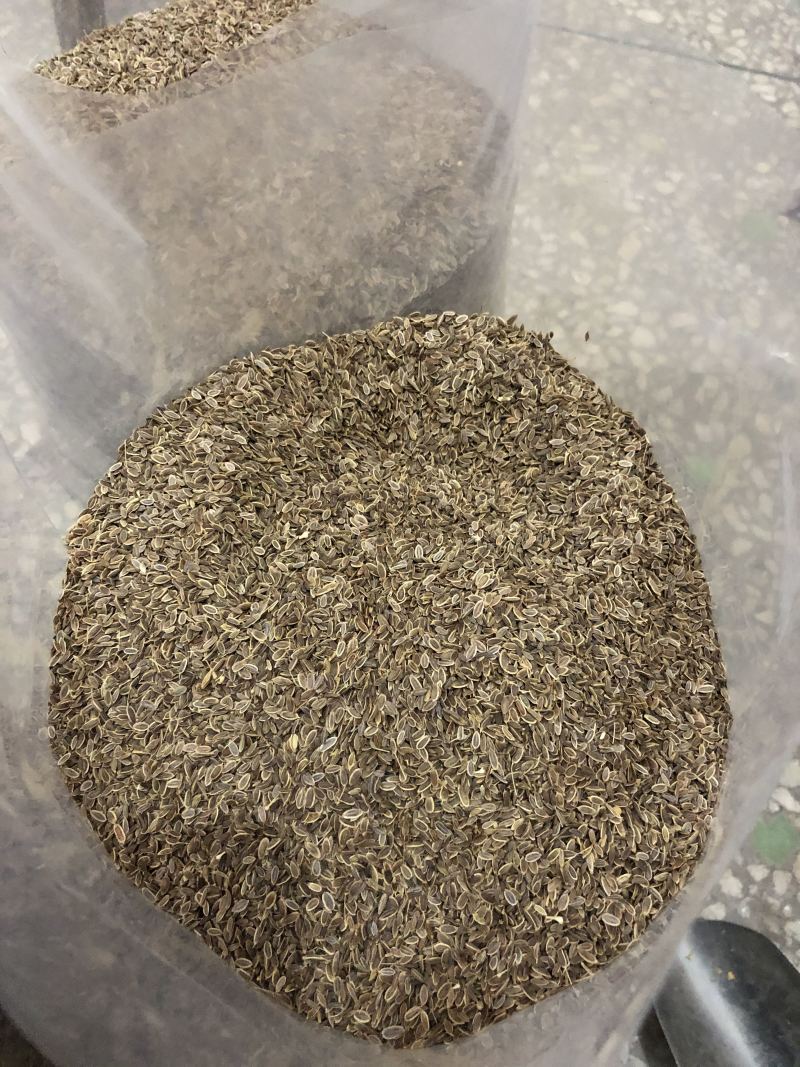 千里香天然增香调味料量大从优香料齐全