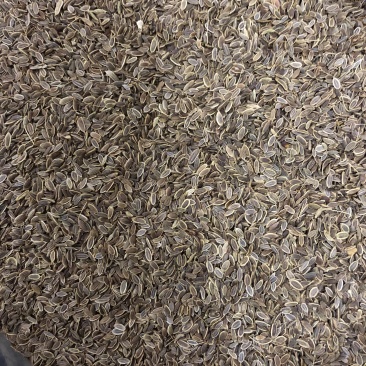 千里香天然增香调味料量大从优香料齐全