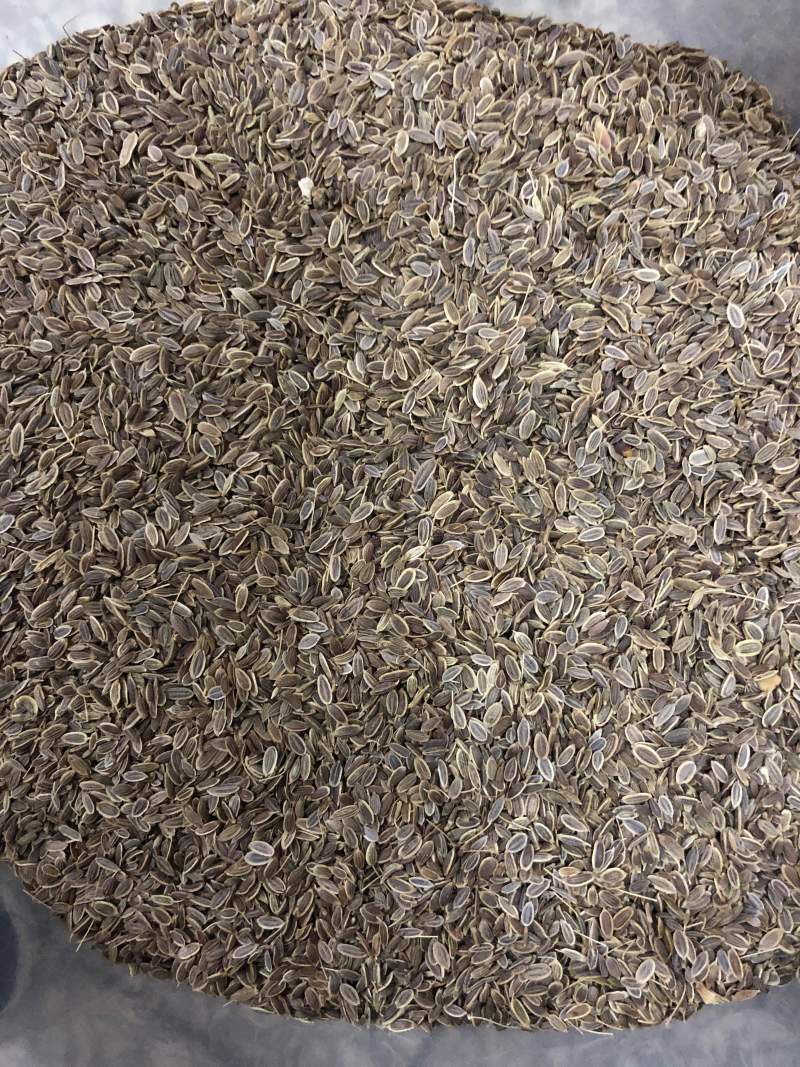 千里香天然增香调味料量大从优香料齐全