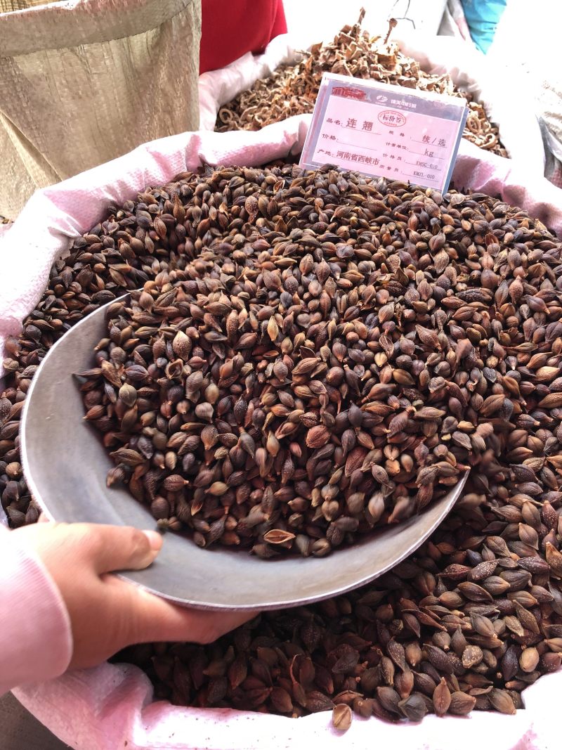正品无硫中药材新货连翘