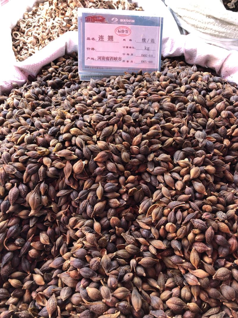 正品无硫中药材新货连翘