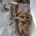 神龙架纯野生天麻干货干品实图拍摄发货各种规格量大从优