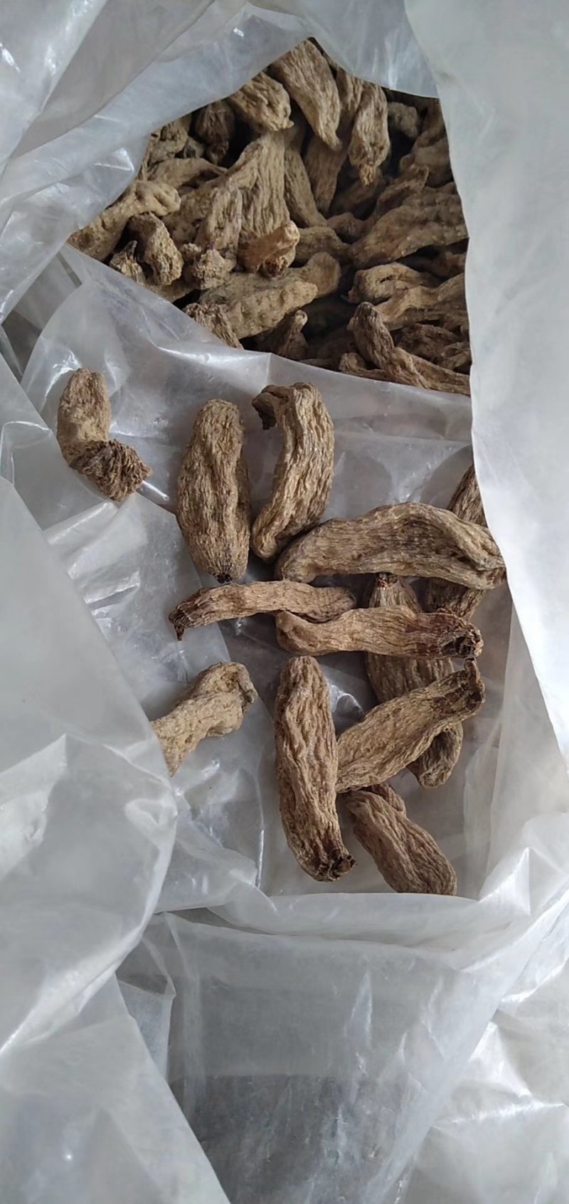 神龙架纯野生天麻干货干品实图拍摄发货各种规格量大从优