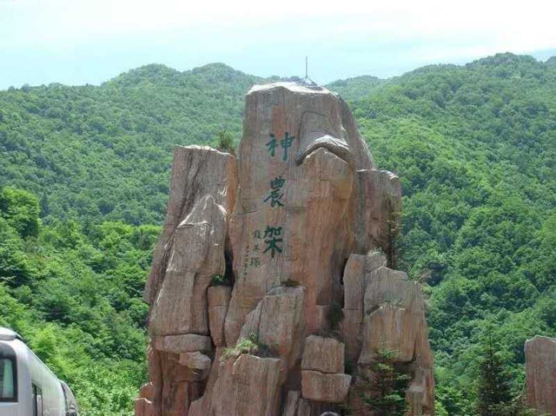 神龙架纯野生天麻干货干品实图拍摄发货各种规格量大从优