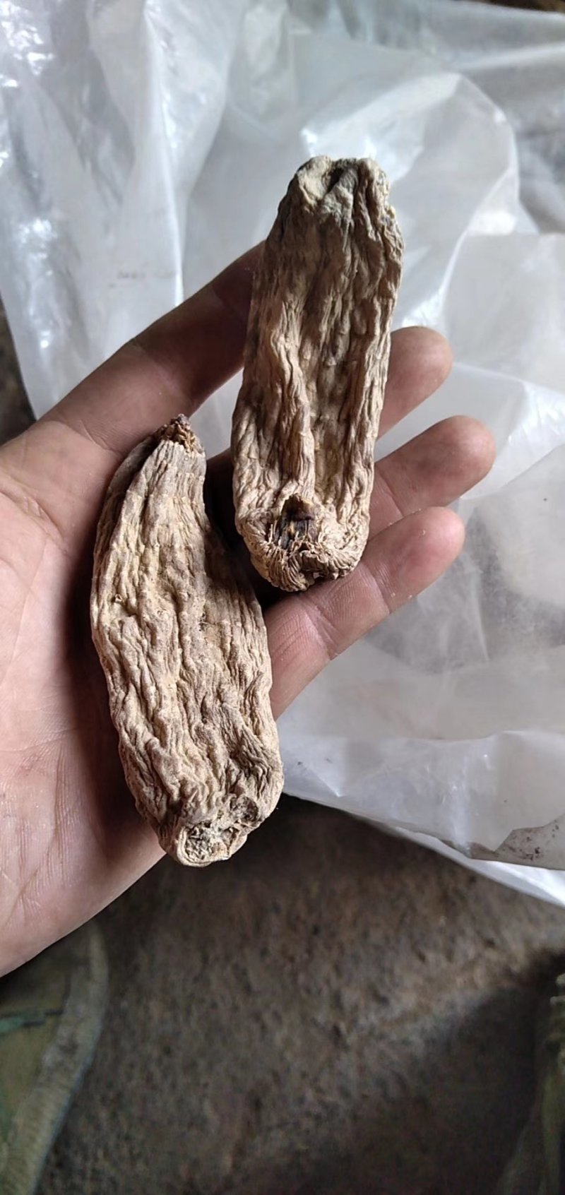 神龙架纯野生天麻干货干品实图拍摄发货各种规格量大从优