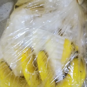 香蕉