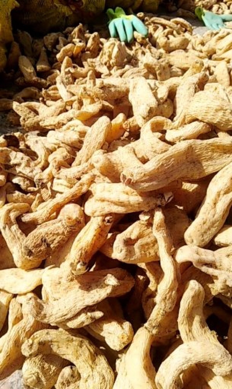 陕西丹凤峦庄天麻小镇直供