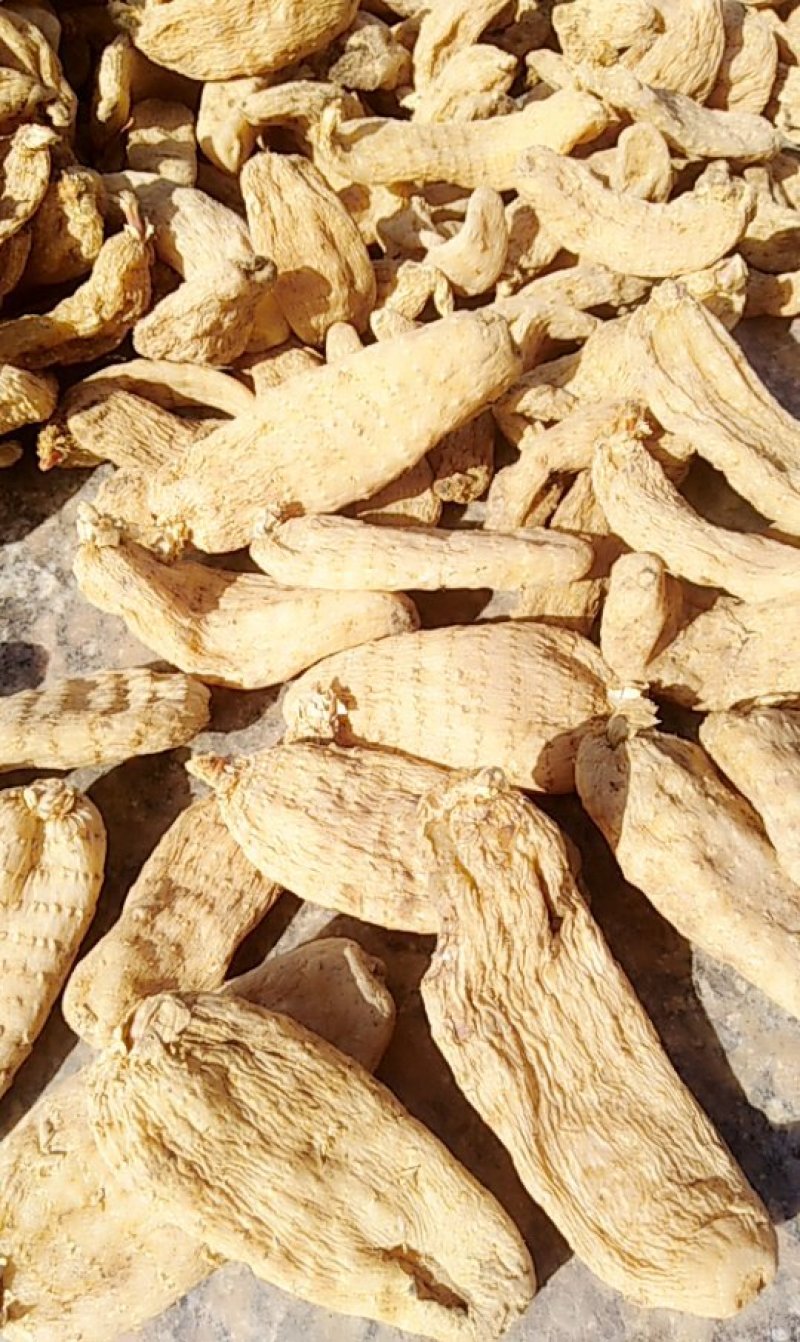陕西丹凤峦庄天麻小镇直供