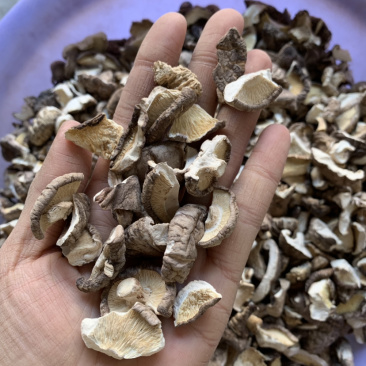 2026新货干香菇碎片