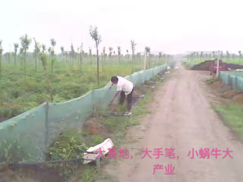 最低的价格最优质的品质提供给大家