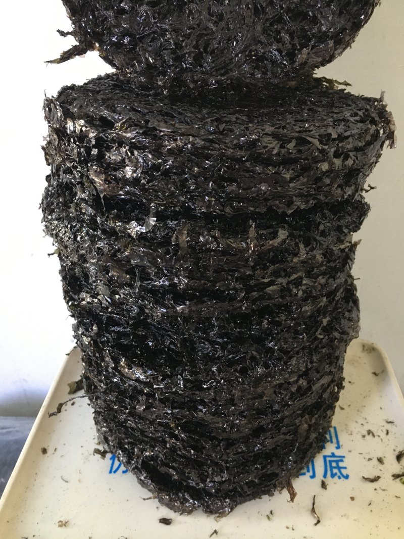 新货霞浦二水紫菜可定做各类规格15克一100克