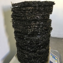新货霞浦二水紫菜可定做各类规格15克一100克