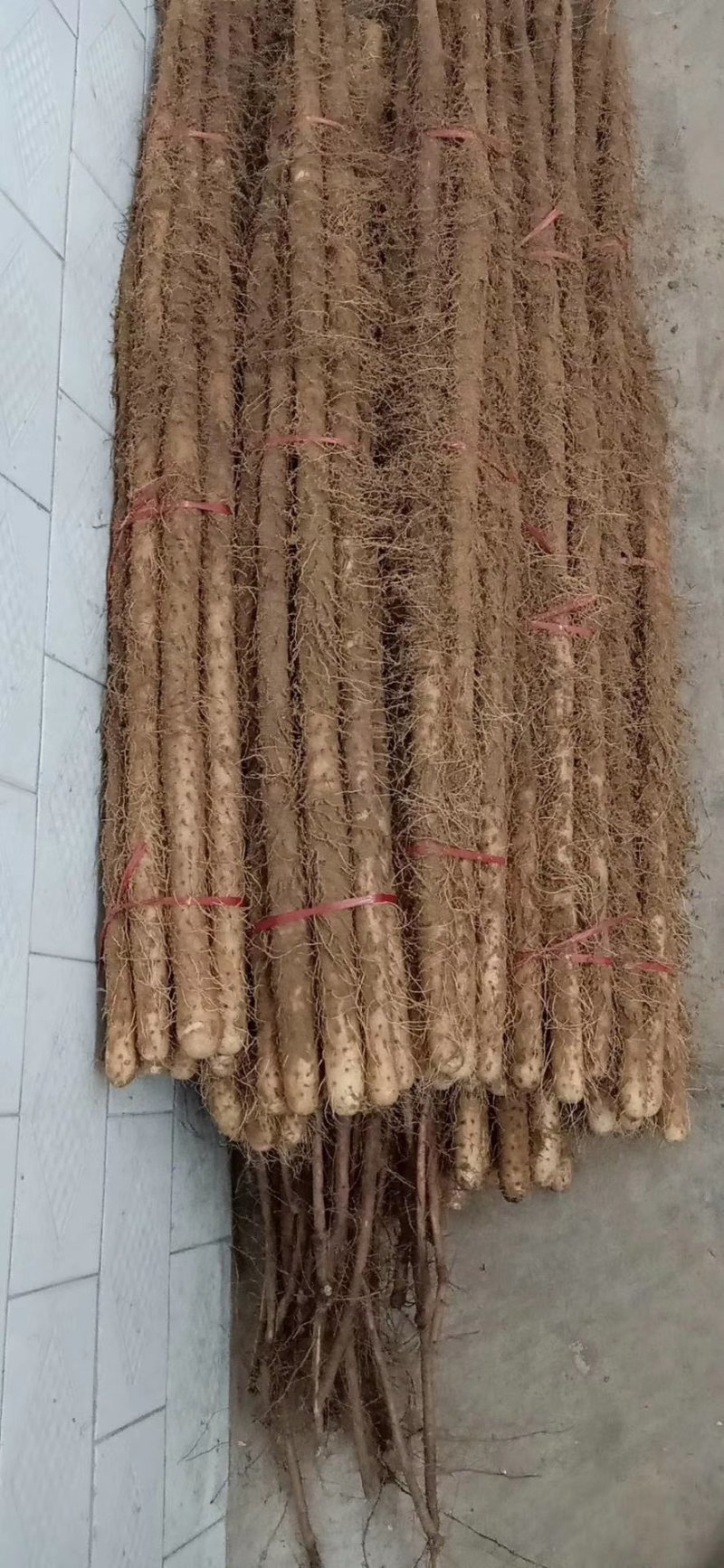 正宗大荔铁棍山药，原产地直供一手货源批发，免费一条龙服务