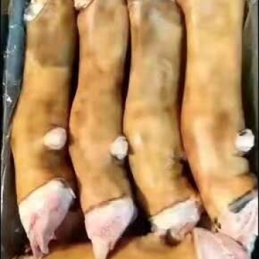 火烧牛蹄国产火烧牛蹄
