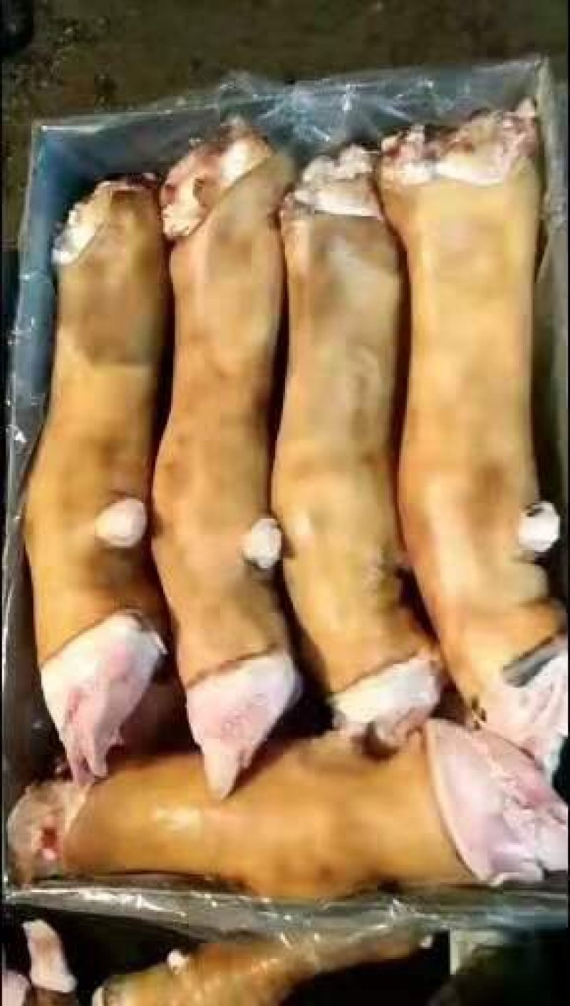 火烧牛蹄国产火烧牛蹄