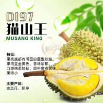 榴莲