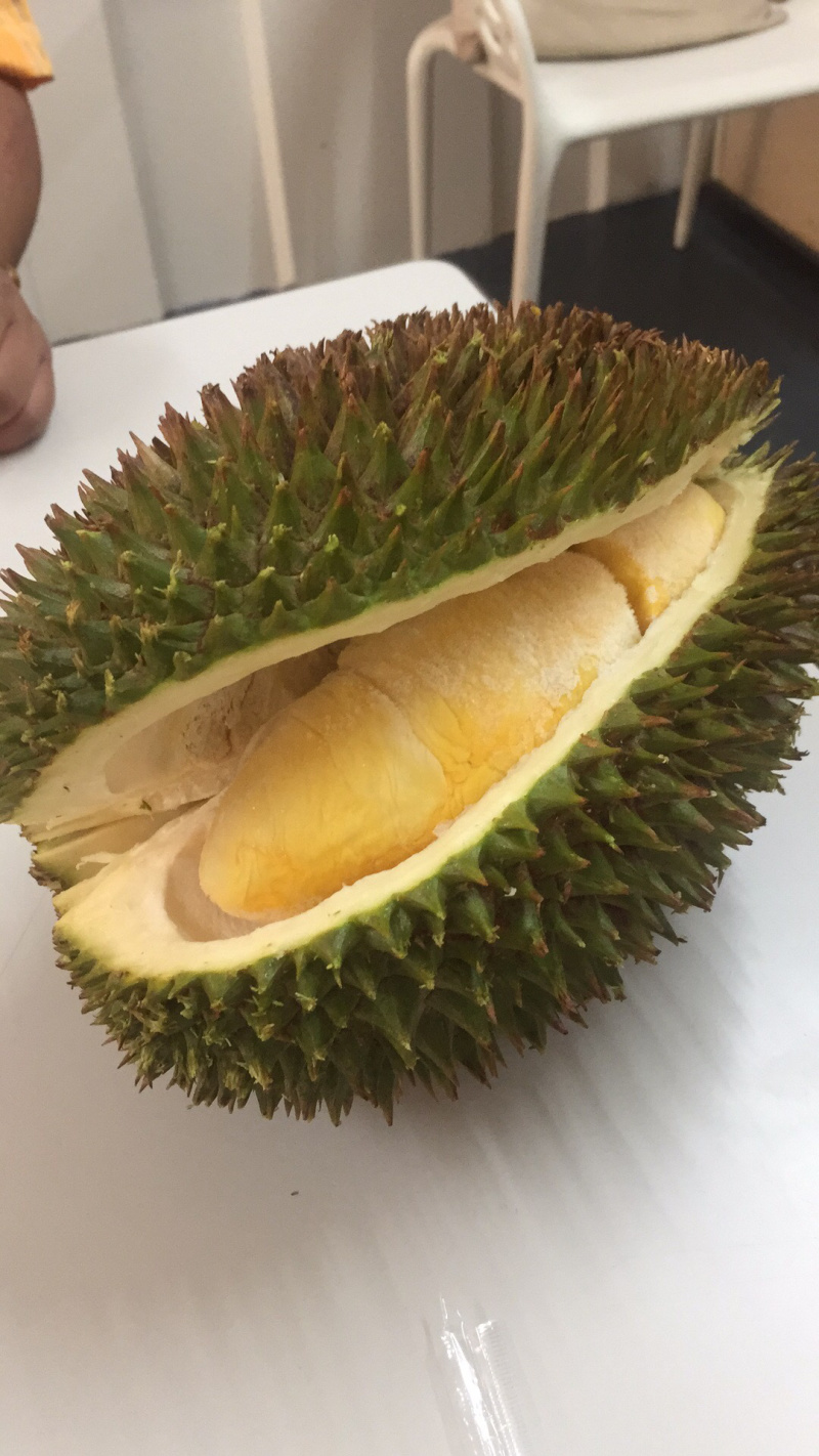 榴莲