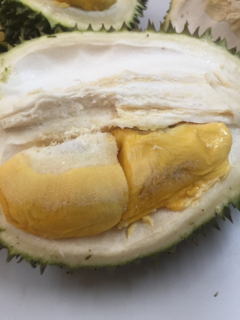榴莲