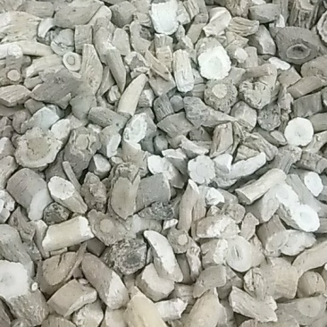 板蓝根片中药材甘肃大货大青根
