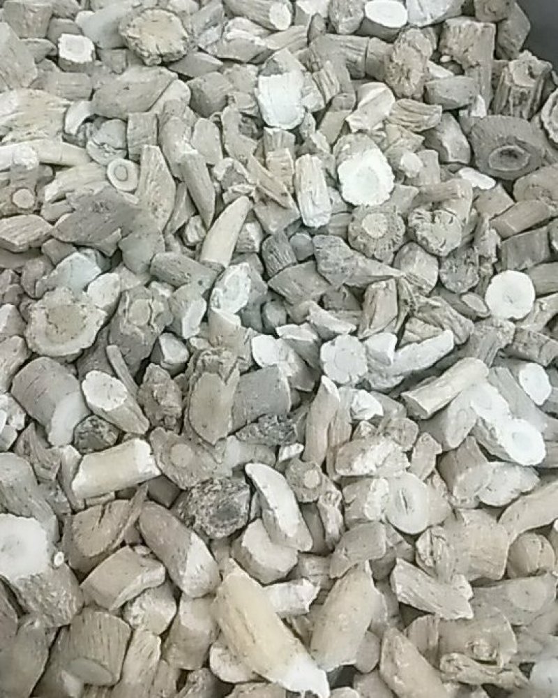 板蓝根片中药材甘肃大货大青根