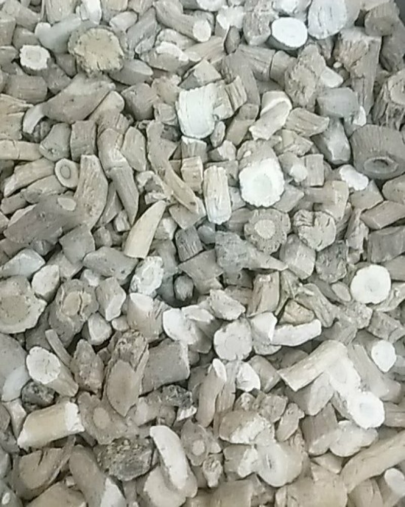 板蓝根片中药材甘肃大货大青根