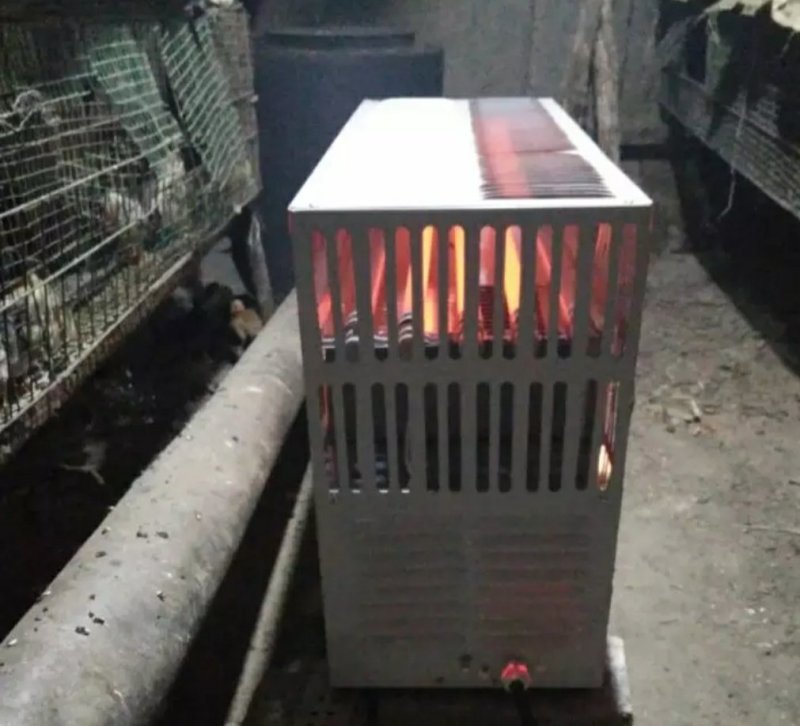 唐唐保暖灯育雏保温器全自动养殖加温设备雏鸡苗保温伞