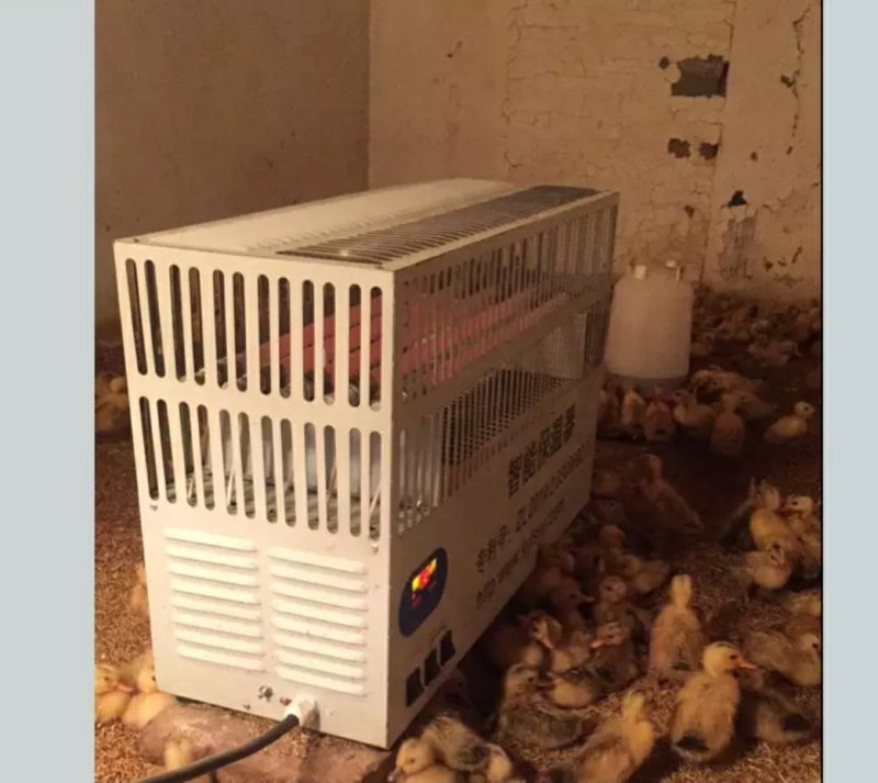 唐唐保暖灯育雏保温器全自动养殖加温设备雏鸡苗保温伞