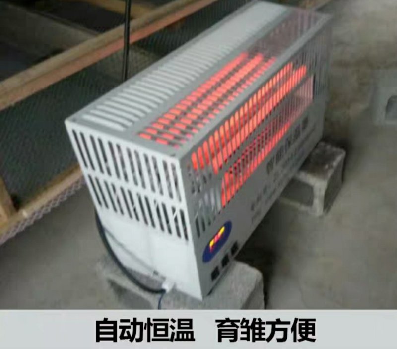 唐唐保暖灯育雏保温器全自动养殖加温设备雏鸡苗保温伞