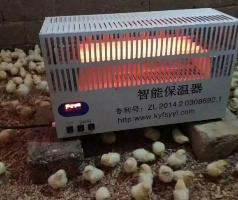 唐唐保暖灯育雏保温器全自动养殖加温设备雏鸡苗保温伞