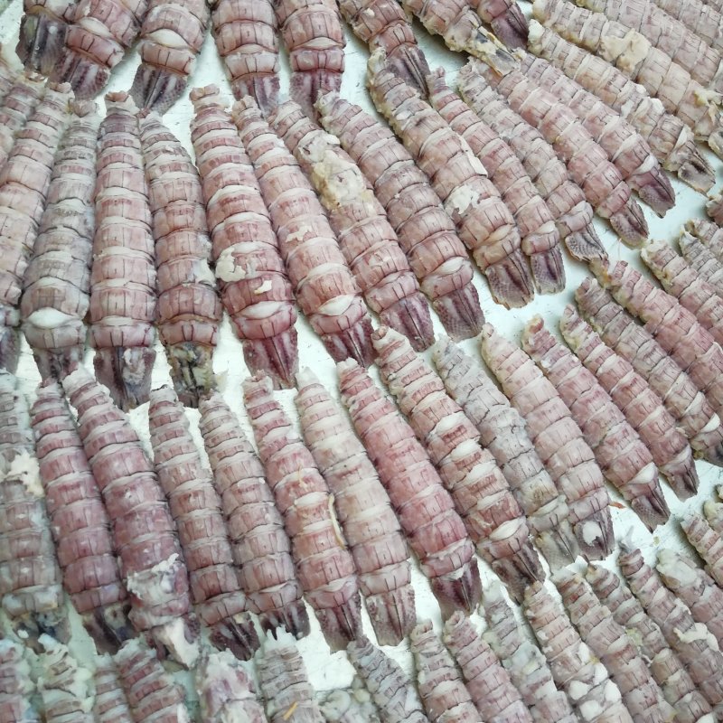 爬虾肉干