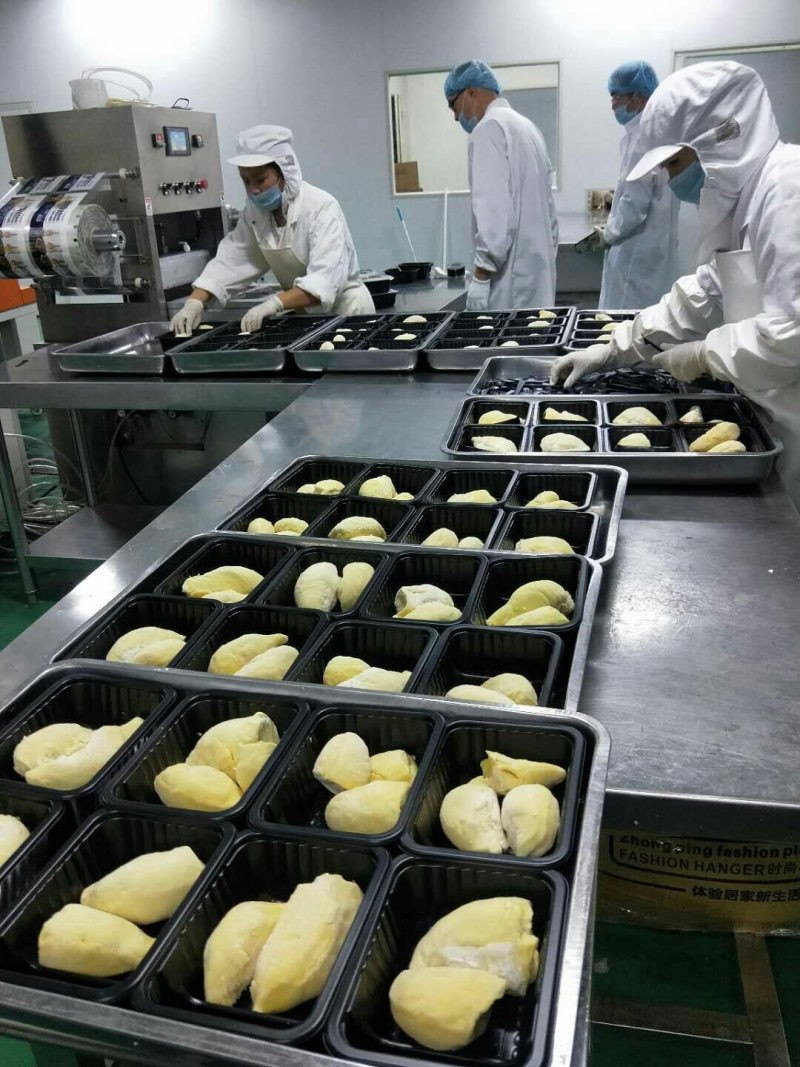 260克恋莲不舍榴莲树熟榴莲金枕头冻榴莲