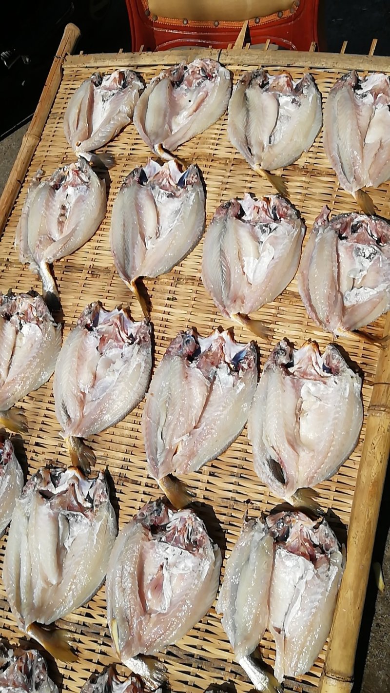 虾皮