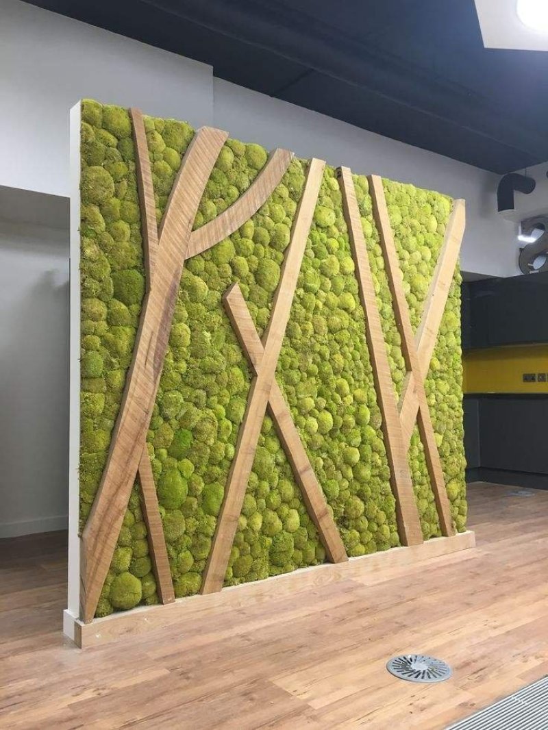 野生苔藓植物微景观盆景铺面藓活包邮DIY创意迷你植物假山