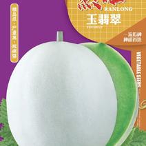 然龙玉翡翠白皮绿肉高圆型哈密瓜甜瓜种子玉菇类型
