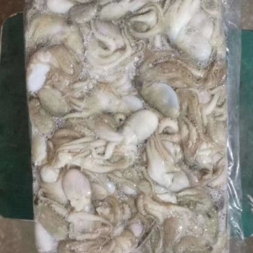 八爪鱼不零售不发快递自己吃的就不要问了。
