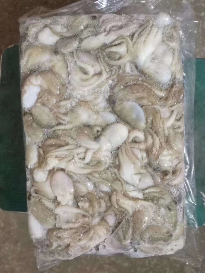 八爪鱼不零售不发快递自己吃的就不要问了。