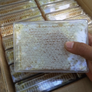 蜂巢蜜，野酸枣蜂蜜