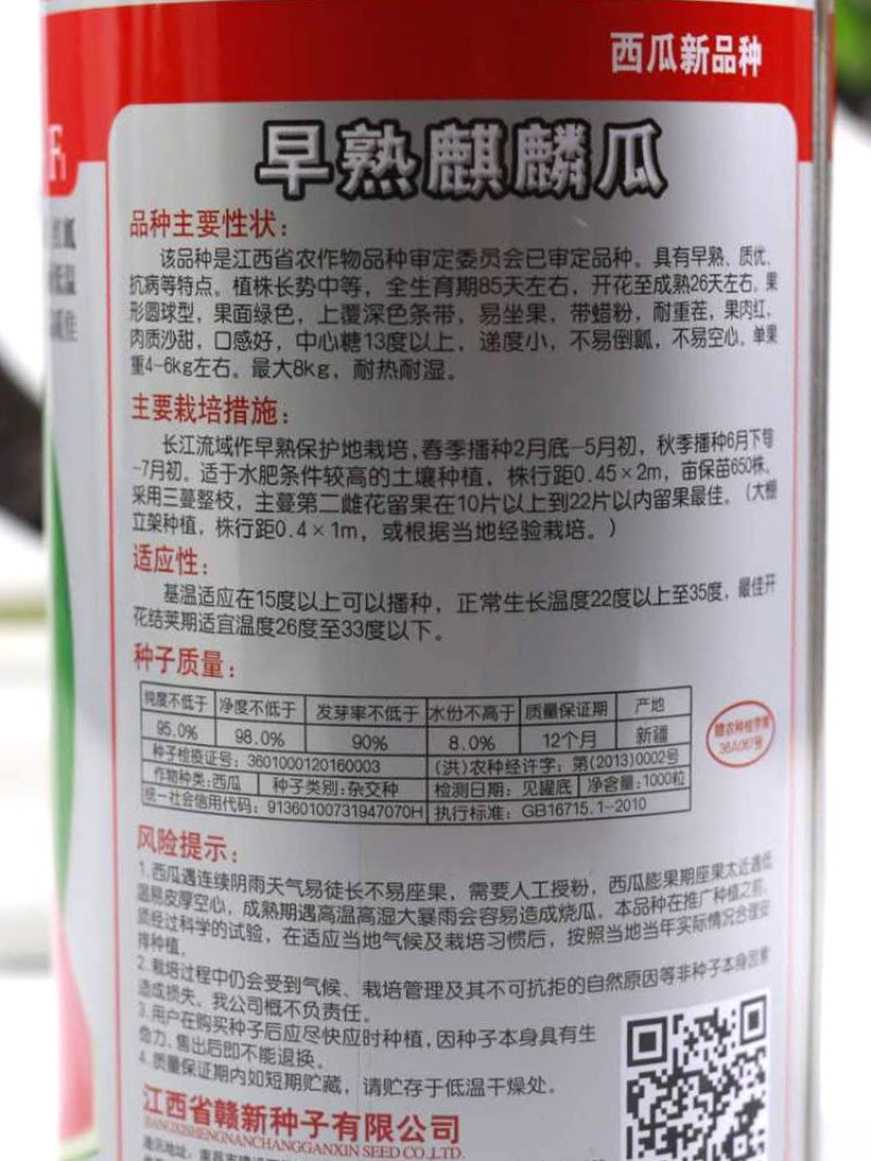 早熟麒麟瓜西瓜种子早佳8424西瓜种子四季种植皮薄甜脆多