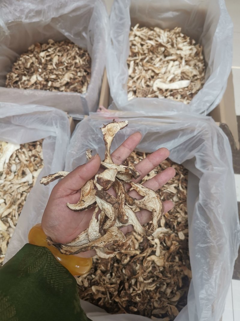 带皮松茸处理处理完下架