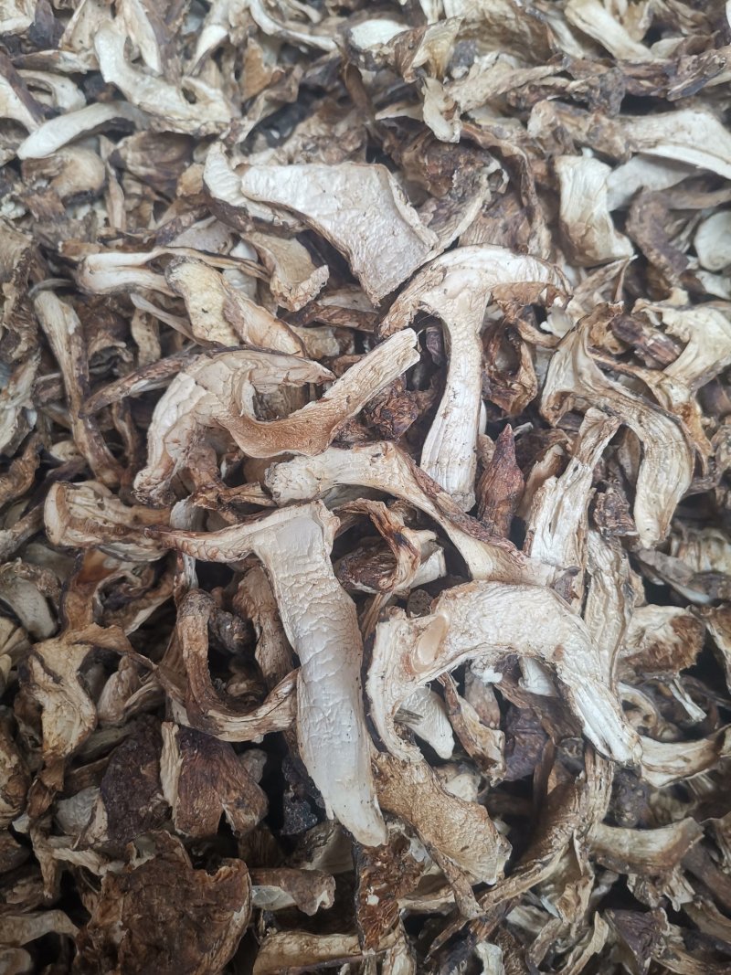 带皮松茸处理处理完下架