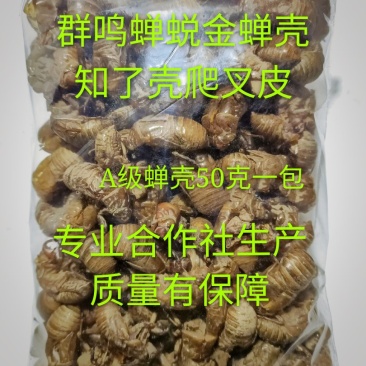 蝉蜕虫螁金蝉壳金蝉皮蝉壳蝉皮蝉衣知了壳知了皮爬叉壳爬叉皮